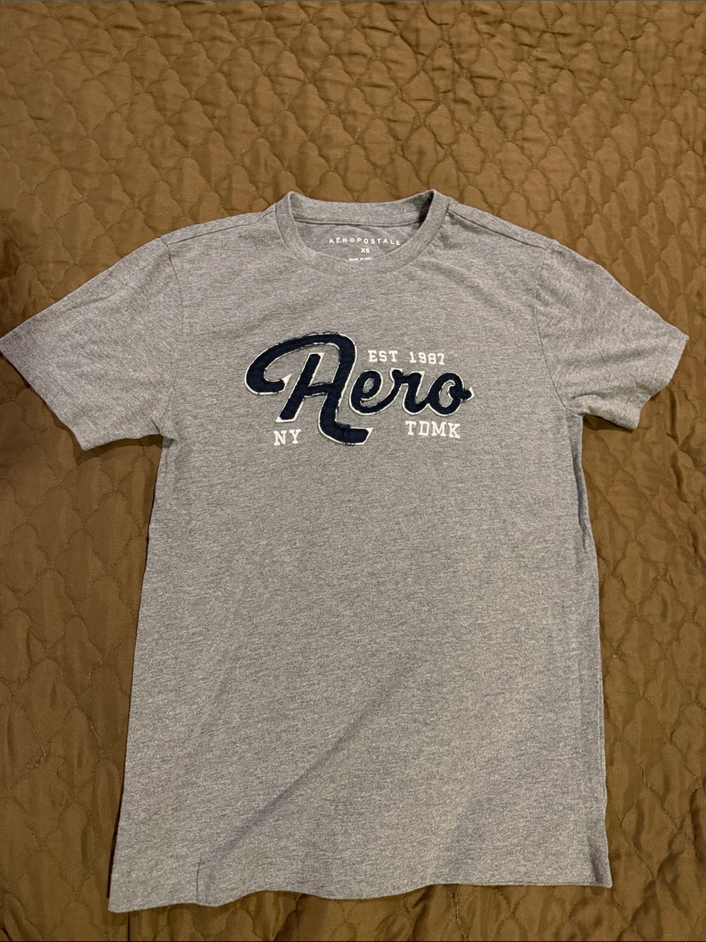 Aeropostale Gray Short Sleeve 'Aero' Logo Tee with Navy Accent